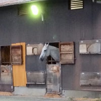 神戸大学 馬術部厩舎 馬場 灘区 神戸市 兵庫県