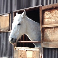 神戸大学 馬術部厩舎 馬場 灘区 神戸市 兵庫県