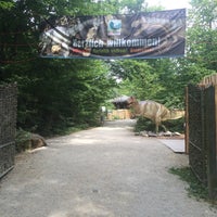 รูปภาพถ่ายที่ Dinosaurierpark Teufelsschlucht โดย Yoshi เมื่อ 7/25/2015