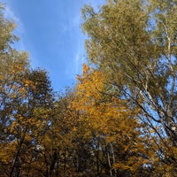 Photo taken at Дубравный лес by Ruslan on 10/8/2017