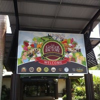 ginger factory buderim yandina