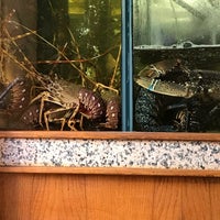 Photo prise au Marisqueira Modesto par Ricardo G. le10/29/2017