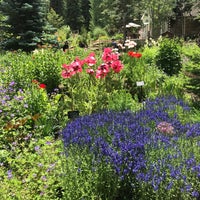 Betty Ford Alpine Garden Vail Co