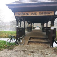Das Foto wurde bei Białowieski Park Narodowy von Marcin K. am 11/14/2020 aufgenommen