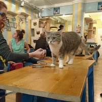 Chat Mallows Cafe 8 Tips Chat Mallows Cafe 8 Tips