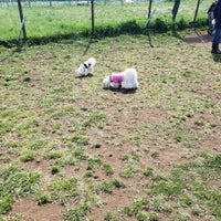 ドッグラン 調布 深大寺北町2 5