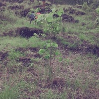 Review Jalan Raya Batubulan