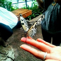 Photo taken at Butterfly Exhibit by Hunger H. on 12/15/2012