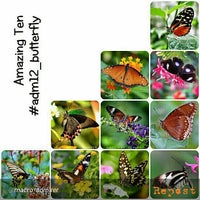 Photo taken at Butterfly Thailand by YoON ^. on 4/30/2013