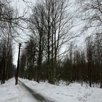 Photo taken at Лес by IМ on 2/17/2022