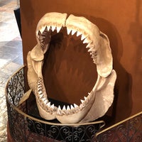 Photo taken at Ripley&#39;s Believe It or Not! by Tommy P. on 4/8/2019