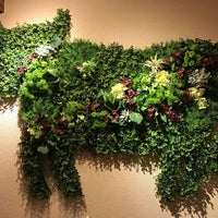 扇の牛tokyo 国立市 国立市 東京都