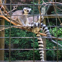 Снимок сделан в Binghamton Zoo at Ross Park пользователем Xander H. 8/24/2013
