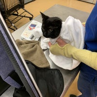Photo taken at Pet Supplies Plus N. Lincoln by Danielle H. on 1/15/2020