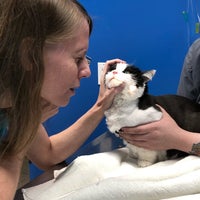 Photo taken at Manhattan Cat Specialists by Teresa L. on 6/19/2019