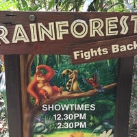 Photo taken at Rainforest Fights Back Show by Jan S. on 7/8/2019