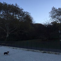 Photo taken at Owl’s Head Park Dog Run by Elena G. on 11/8/2015