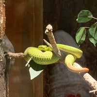 Photo taken at Siam Serpentarium by Pichy P. on 12/31/2023
