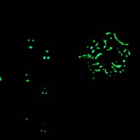 Niroo Havaei ÙÛØ±Ù ÙÙØ§ÛÛ Neighborhood In Tehran niroo havaei ÙÛØ±Ù ÙÙØ§ÛÛ