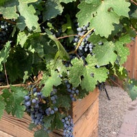 Photo taken at Arizona Stronghold Vineyards by Karin H. on 8/1/2020