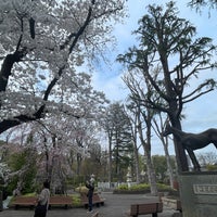 Photo taken at トキノミノル像 by 鈴 on 4/6/2024