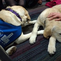 Photo taken at Guide Dogs Training School by Lisa C. on 5/7/2018