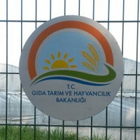 tarim ve orman bakanligi izmir il mudurlugu 13 tavsiye