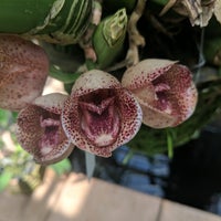 Photo taken at Fuqua Orchid Center by Lears F. on 8/12/2017