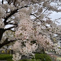 Photo taken at Hinokicho Park by Takao S. on 4/5/2024