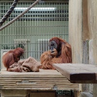Photo taken at Zoo Dresden by Karel M. on 9/15/2022