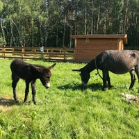 Photo taken at Гостиничный комплекс «Орловский» by Julia C. on 5/27/2018