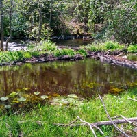 Photo taken at Гладышевское озеро by Lyoshi V. on 6/15/2017