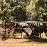 Photo prise au Zooleón par J A S. le2/28/2022