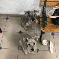 Photo taken at Hospital Veterinario del Valle by Ross M. on 12/15/2018