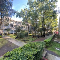 Photo prise au Facultad de Ciencias, UNAM par Claudia G. le3/4/2020