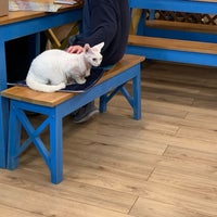 Chat Mallows Cafe 8 Tips