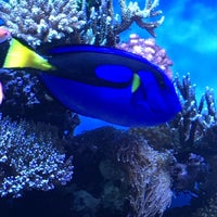 7/6/2016에 Chris G.님이 Monterey Bay Aquarium에서 찍은 사진