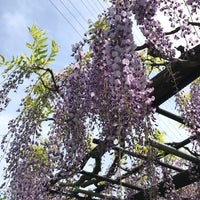 Photo taken at 引地川親水公園 by sabby ♬. on 4/21/2023
