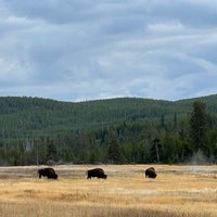 Photo taken at West Gate Of Yellowstone by S C. on 10/15/2023