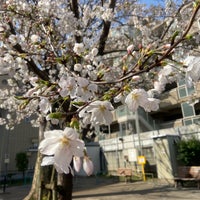 Photo taken at 渋谷区立 伊達児童遊園地 by Tomoyo H. on 4/2/2024