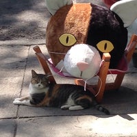 Foto tomada en La Tienda De los Gatos  por Haydeé I. el 4/7/2015