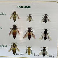 Foto diambil di Big Bee Farm (Phuket) oleh Mustafa K. pada 1/29/2024