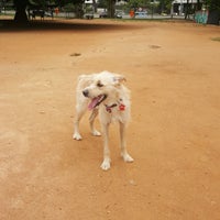 Photo taken at Parcão da Lagoa by Fabio A. on 10/21/2016