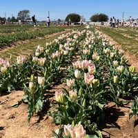 Foto diambil di Texas-Tulips, LLC oleh Jennifer D. pada 3/5/2023