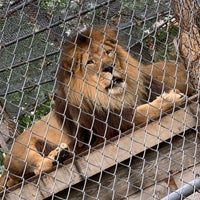 8/24/2019 tarihinde Scott S.ziyaretçi tarafından Roosevelt Park Zoo'de çekilen fotoğraf