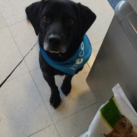 Petco Pet Store