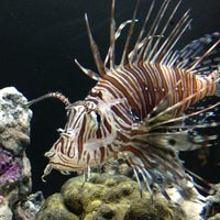 Photo taken at National Aquarium by Gerardo D. on 11/19/2012