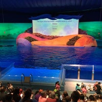 Photo taken at Dolphin Adventure Theater by Socorro P. on 9/11/2016