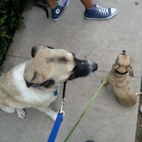 vca mission animal hospital