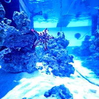 Foto diambil di Aquarium Arts oleh Ryan S. pada 12/5/2023